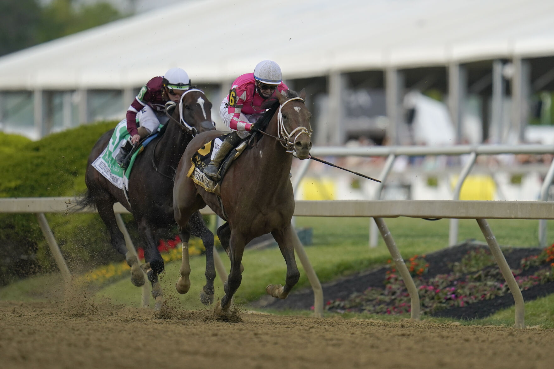 Preakness Stakes Horse Race
